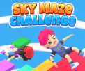 Sky Maze Challenge