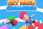Sky Maze Challenge